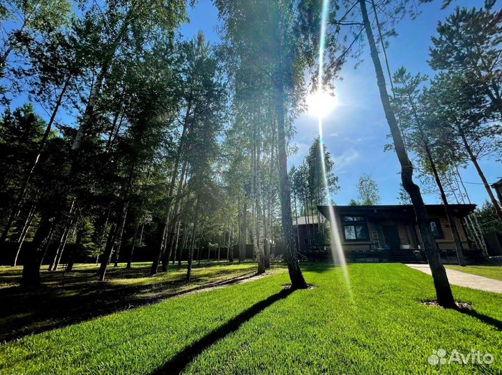 Укладка газона под ключ