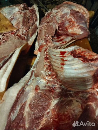 Мясо свинина