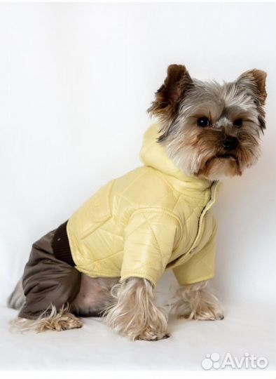 Комбинезон для собак