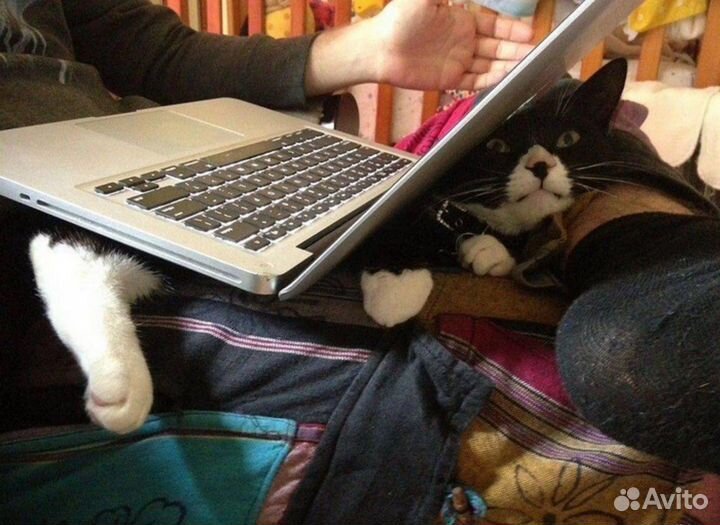 Скупка ноутбуков в любом состояние