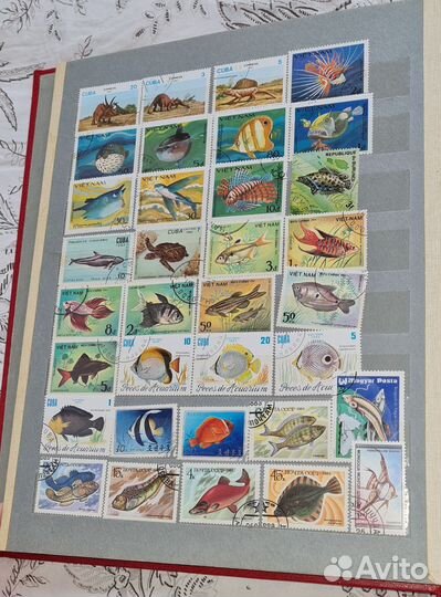 Почтовые марки СССР альбом