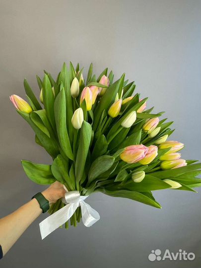 Луковицы тюльпанов Ярославль цветы
