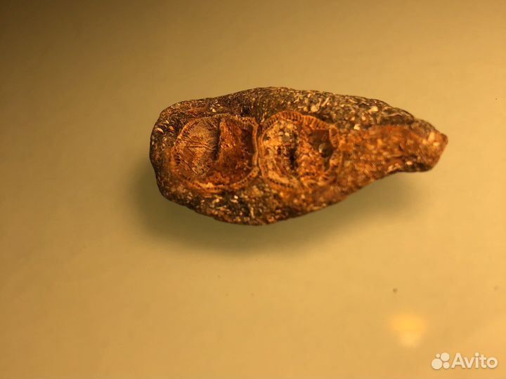 Камень коллекция