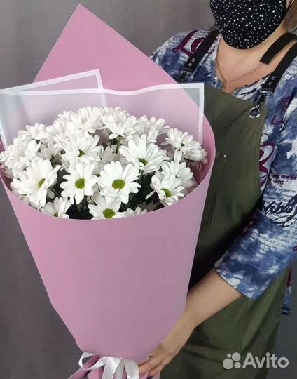 Хризантема