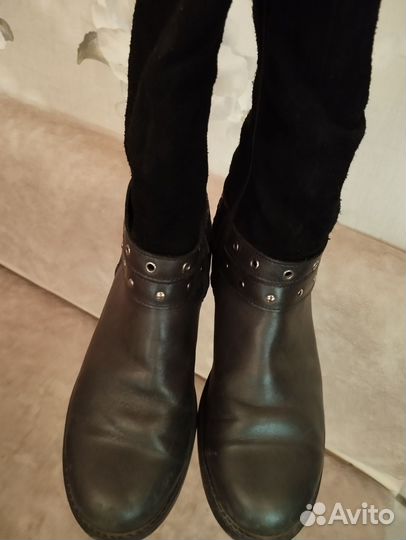 Сапоги демисезонные