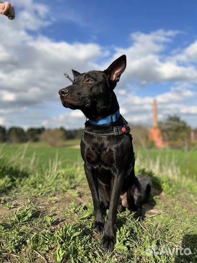 Сигурда выгоняют на улицу