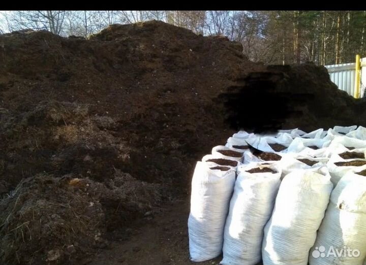 Конский навоз