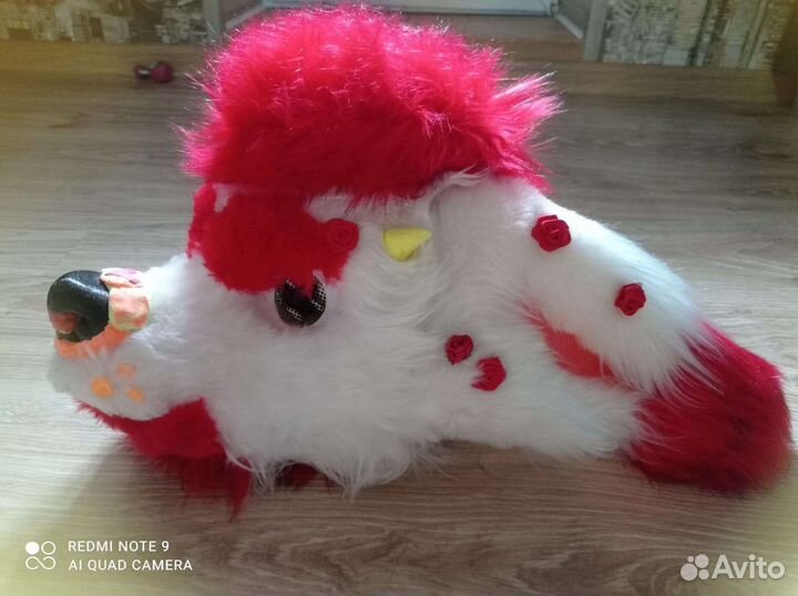 Фурсьют собаки