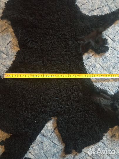 Шкурки каракуля