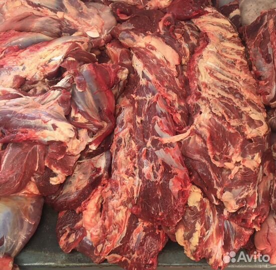 Мясо говядина оптом и в розницу