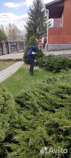 Озелененте Благоустройство Уход за участком