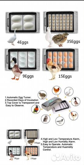 Инкубатор для яиц автоматический