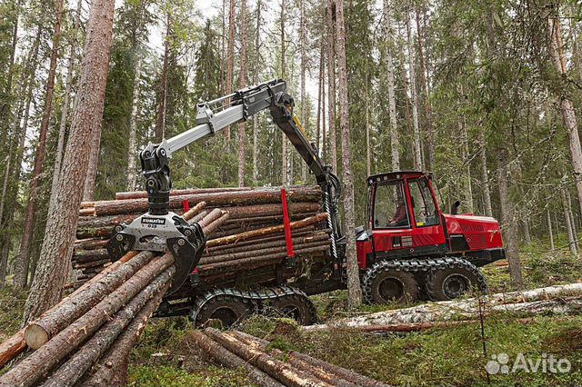 Сырьевой актив лесозаготовка объявление продам