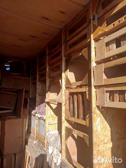 Пчеловавильон