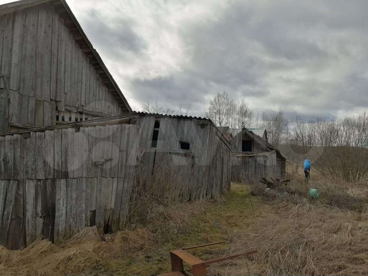 Дом 36 м² на участке 48 сот.