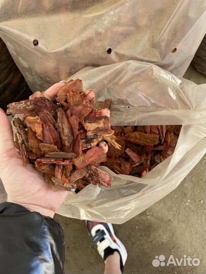 Кора лиственницы