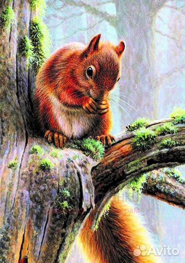 Алмазная мозаика 30x40 Белочка на ветке