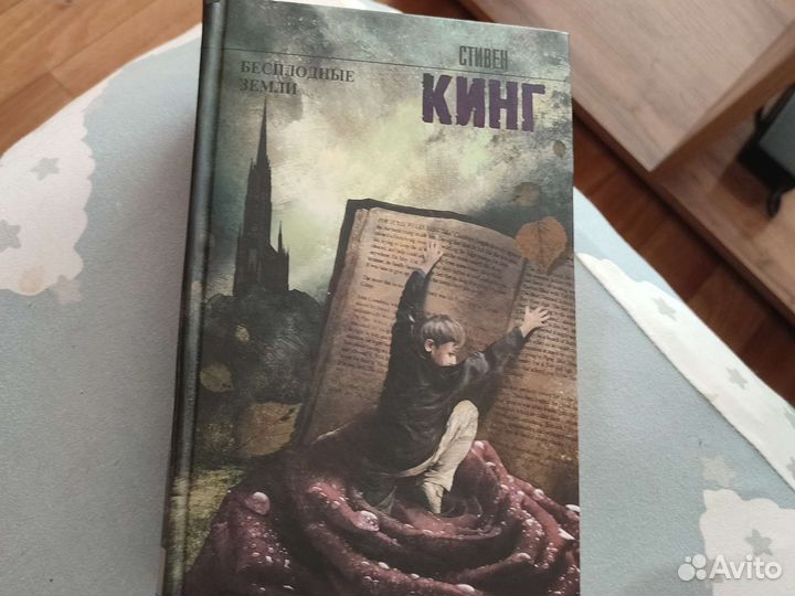 Бесплодные земли Стивен Кинг