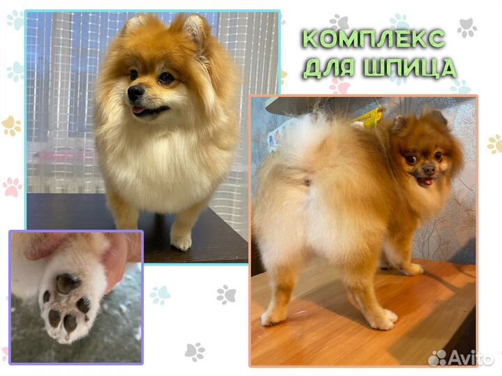 Стрижка собак и кошек