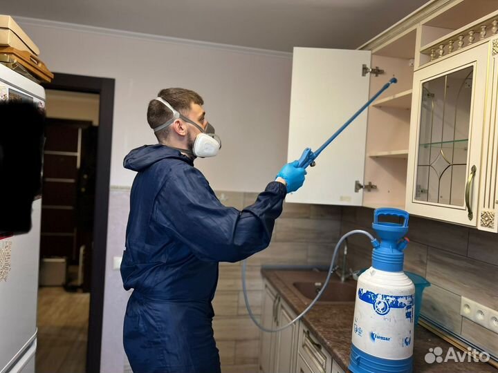 Уничтожение тараканов и травля клопов