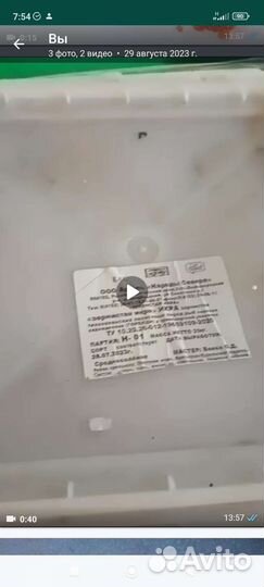 Красная икра 2023