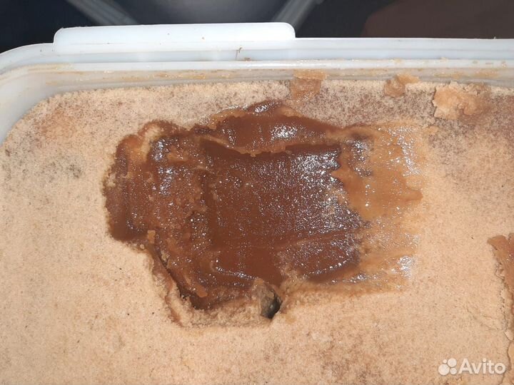 Мёд гречишный