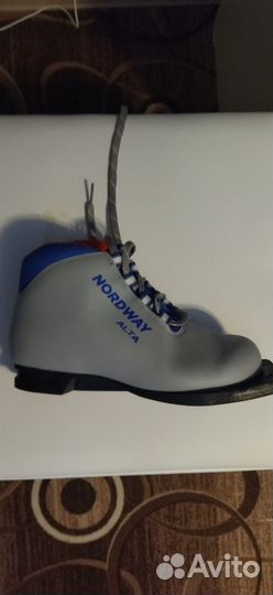 Лыжные ботинки