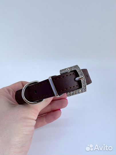 Ошейник для собак и кошек