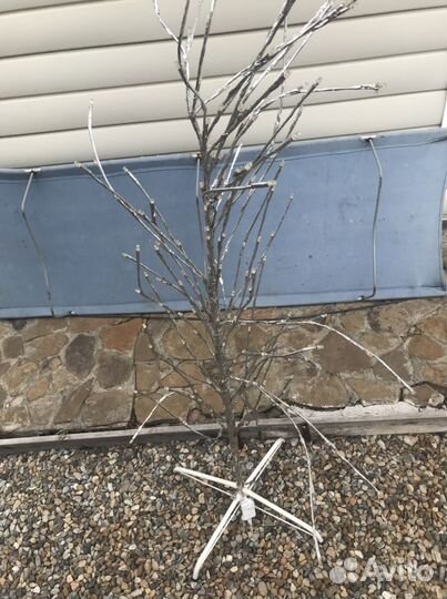 Светящееся дерево