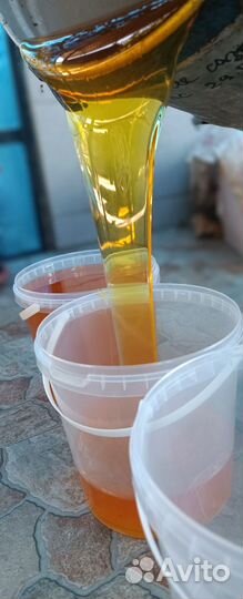 Мёд разнотравье август 2023