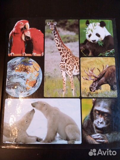 В мире дикой природы. Атлас