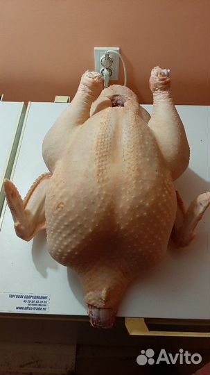 Мясо индейки домашнее