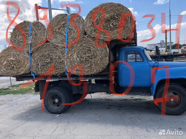 Солома кукурузная