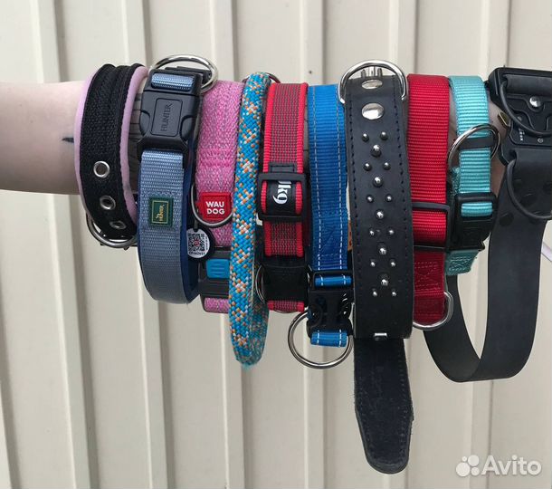 Амуниция и игрушки для собак