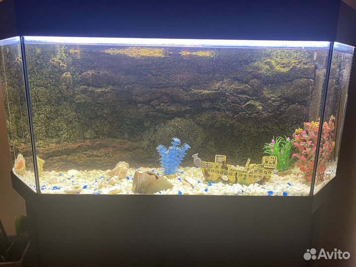 Аквариум