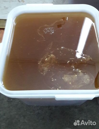 Мед Алтайский