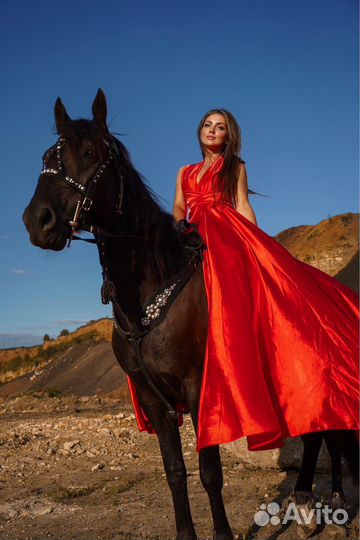 Фотосессия с лошадью, лошади на мероприятия