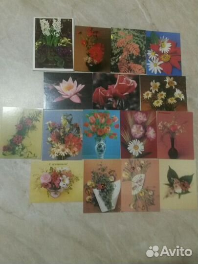 Цветы 1966-70гг