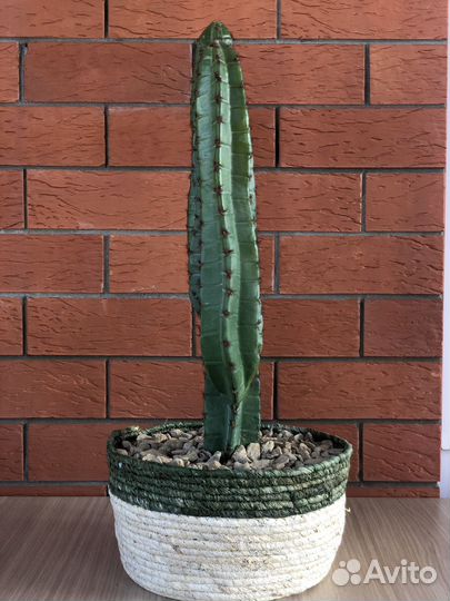 Кактус искусственный