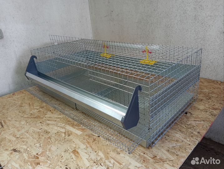 Клетки для перепелов