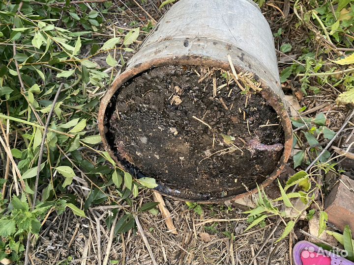 Фляга, бидон