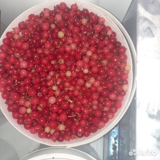 Смородина замороженная