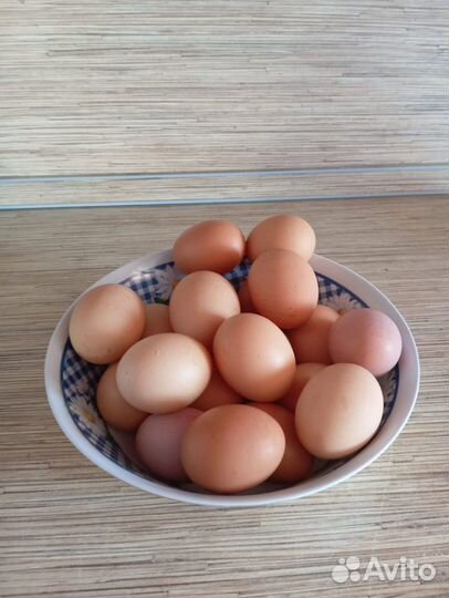 Домашние куриные яйца