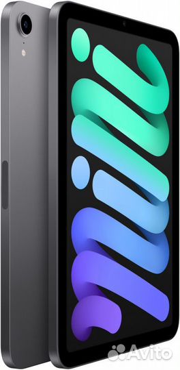 iPad mini (2021) 256GB space gray Wi-Fi