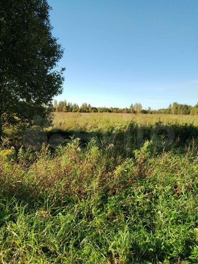 Участок 4,2 га (СНТ, ДНП)