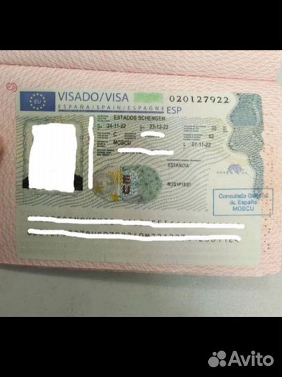 Шенгенская виза быстро под ключ/Запись на визу