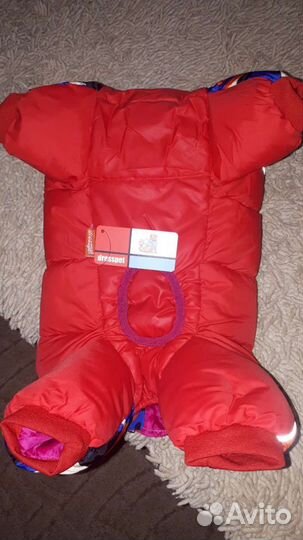 Одежда для собаки