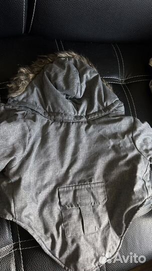 Жилет на собаку