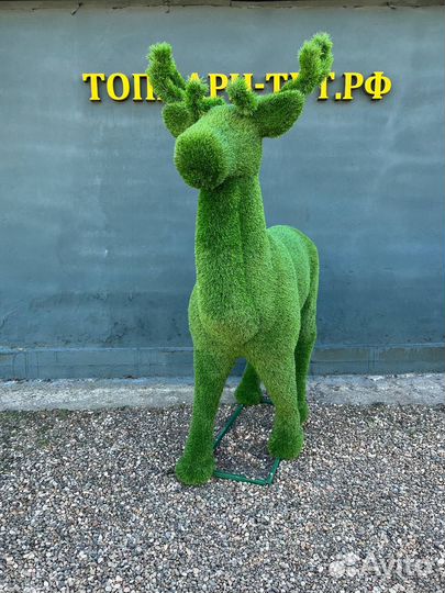 Топиари Топиарные фигуры Садовые фигуры