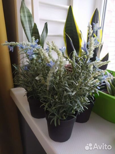 Фейка IKEA много